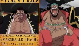 黑胡子最新爆料视频,海洋霸主背后的惊人真相